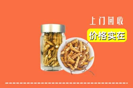 资兴市回收散虫草
