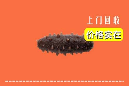 资兴市回收海参