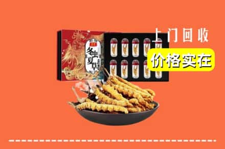 资兴市回收虫草
